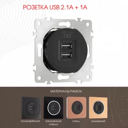 Розетка USB 2.1А+1А 202.46-1.black