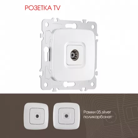 Розетка TV 205.43-1.silver