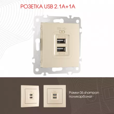 Розетка USB 2.1А+1А 206.46-1.shampan