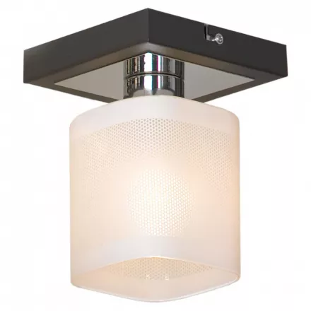 Потолочный светильник LSL-9007-01 от Lussole