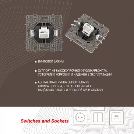 Розетка интернет, RJ45 217.45-1.shampan