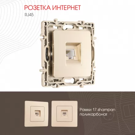 Розетка интернет, RJ45 217.45-1.shampan