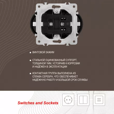 Розетка двойная с заземлением, 16A 250V 202.40-2.shampan