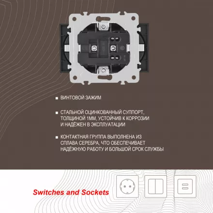 Розетка двойная с заземлением, 16A 250V 203.40-2.shampan