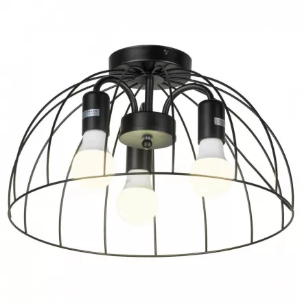 Потолочный светильник GRLSP-8215 от Lussole